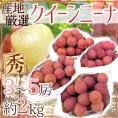 ”クイーンニーナ” 秀品 3～5房 約2kg 産地厳選 赤ぶどう【予約 9月下旬以降】 送料無料