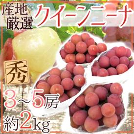 ”クイーンニーナ” 秀品 3～5房 約2kg 産地厳選 赤ぶどう【予約 9月下旬以降】 送料無料