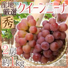 ”クイーンニーナ” 秀品 2房 約1kg 産地厳選 赤ぶどう【予約 9月下旬以降】 送料無料