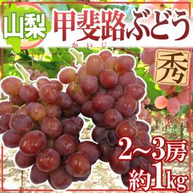 ”山梨産 甲斐路ぶどう” 秀品 2〜3房 約1kg以上【予約 9月中旬以降】 送料無料