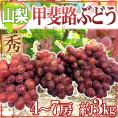 ”山梨産 甲斐路ぶどう” 秀品 4〜7房 約3kg【予約 9月中旬以降】 送料無料