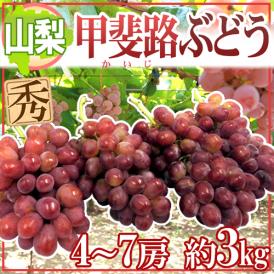 ”山梨産 甲斐路ぶどう” 秀品 4〜7房 約3kg【予約 9月中旬以降】 送料無料