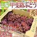 山梨産 ”甲斐路ぶどう” 秀品 7〜10房 約5kg【予約 9月中旬以降】 送料無料