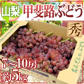 山梨産 ”甲斐路ぶどう” 秀品 7〜10房 約5kg【予約 9月中旬以降】 送料無料