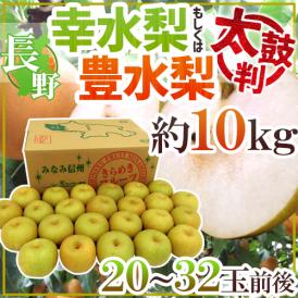 長野産 ”幸水梨もしくは豊水梨 太鼓判” 20～32玉前後 約10kg 産地箱【予約 8月末以降】 送料無料
