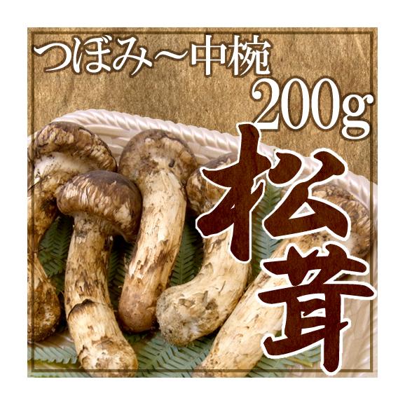 ”中国産 松茸” 3~6本 約200g つぼみ~中椀【お届け日指定可能】 送料無料01