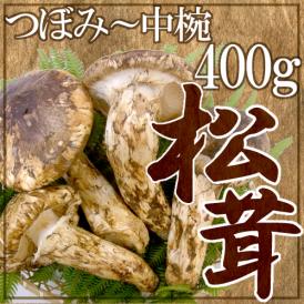 ”中国産 松茸” 4～8本 約400g つぼみ～中椀【お届け日指定可能】 送料無料