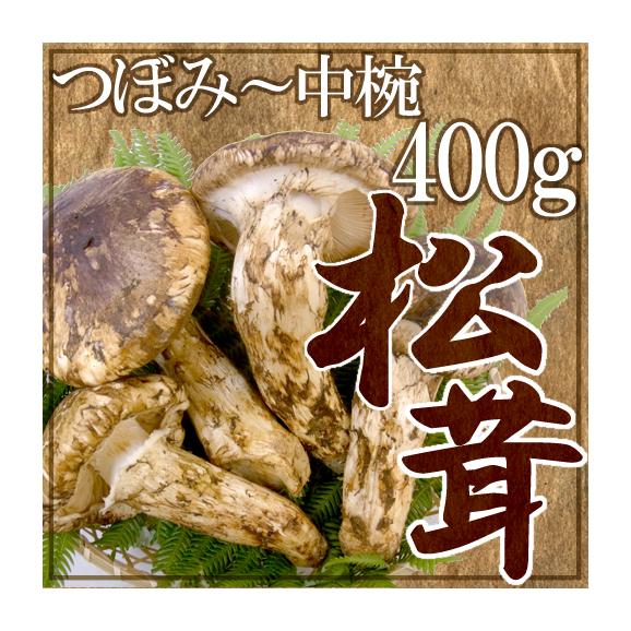 ”中国産 松茸” 4~8本 約400g つぼみ~中椀【お届け日指定可能】 送料無料01