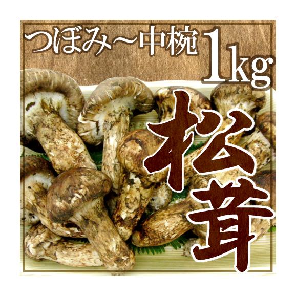 中国産 ”松茸” 約1kg つぼみ~中椀 大きさおまかせ【お届け日指定可能】 送料無料01