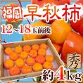 福岡産 ”早秋柿” 秀品 12～18玉前後 約4kg【予約 10月以降】 送料無料