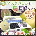 ”静岡マスクメロン＋巨峰セット” 等級白以上 大玉1玉 約1.7～2kg ＋ 2～3房前後 約800g～1kg【予約 6月以降】 送料無料