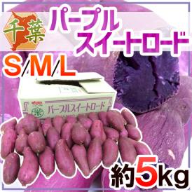 千葉県産 ”パープルスイートロード” 秀品 約5kg 紫芋 さつまいも【予約 10月以降】 送料無料