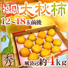 福岡産 ”太秋柿” 秀品 12〜18玉前後 風袋込約4kg【予約 10月以降】 送料無料