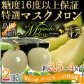 島根県 益田 ”ますだ マスクメロン” 特秀品 大玉2玉 約3.5～4kg【予約 7月以降】 送料無料