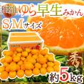 和歌山産 ”ゆら早生みかん” 秀品 S/Mサイズ 約5kg【予約 10月以降】 送料無料