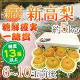 新潟県 ”新高梨” 一糖賞もしくは糖鮮確実（特秀品） 大玉6～10玉前後 約5kg【予約 10月以降】 送料無料