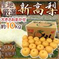 ”新高梨” 訳あり 約10kg 大きさおまかせ 産地厳選【予約 10月以降】 送料無料