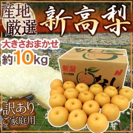 ”新高梨” 訳あり 約10kg 大きさおまかせ 産地厳選【予約 10月以降】 送料無料