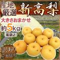”新高梨” 訳あり 風袋込約5kg 大きさおまかせ 産地厳選【予約 10月以降】 送料無料