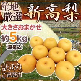 ”新高梨” 訳あり 風袋込約5kg 大きさおまかせ 産地厳選【予約 10月以降】 送料無料