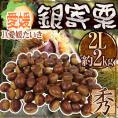 ”愛媛県 JAたいき 銀寄栗” 秀品 2L 約2kg【予約 10月以降】 送料無料