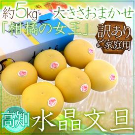 土佐高知 ”水晶文旦” 訳あり 約5kg 大きさおまかせ 産地化粧箱【予約 10月以降】 送料無料