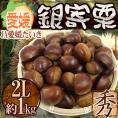 ”愛媛県 JAたいき 銀寄栗” 秀品 2L 約1kg【予約 10月以降】