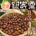 ”愛媛県 JAたいき 銀寄栗” 秀品 超大粒3L 約3kg【予約 10月以降】 送料無料