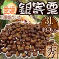 ”愛媛県 JAたいき 銀寄栗” 秀品 超大粒3L 約5kg【予約 10月以降】 送料無料