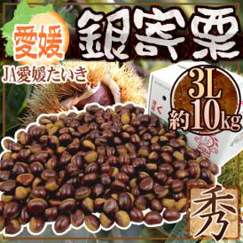 愛媛県 JAたいき ”銀寄栗” 秀品 超大粒3L 約10kg【予約 10月以降】 送料無料