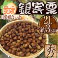 ”愛媛県 JAたいき 銀寄栗” 秀品 2L 約3kg【予約 10月以降】 送料無料