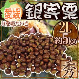 ”愛媛県 JAたいき 銀寄栗” 秀品 2L 約5kg【予約 10月以降】 送料無料