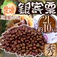 愛媛県 JAたいき ”銀寄栗” 秀品 2L 約10kg【予約 10月以降】 送料無料