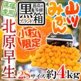 福岡 JAみなみ筑後 ”山川みかん 北原早生” 黒箱等級 小粒限定2Sサイズ 約4kg【予約 10月中旬以降】 送料無料
