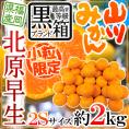 ”福岡 JAみなみ筑後 山川みかん 北原早生” 黒箱等級 小粒限定2Sサイズ 約2kg【予約 10月中旬以降】 送料無料