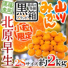 ”福岡 JAみなみ筑後 山川みかん 北原早生” 黒箱等級 小粒限定2Sサイズ 約2kg【予約 10月中旬以降】 送料無料