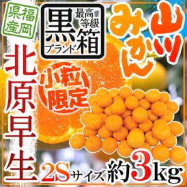 ”福岡 JAみなみ筑後 山川みかん 北原早生” 黒箱等級 小粒限定2Sサイズ 約3kg【予約 10月中旬以降】 送料無料