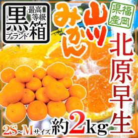 ”福岡 JAみなみ筑後 山川みかん 北原早生” 黒箱等級 2S/S/Mサイズ 約2kg【予約 10月中旬以降】 送料無料