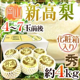 岡山産 ”新高梨” 秀品 4～7玉前後 約4kg 化粧箱【予約 10月下旬以降】 送料無料