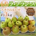 ”山形産 ラフランス” 訳あり 約3kg 大きさおまかせ ラ・フランス 洋梨【予約 11月以降】 送料無料