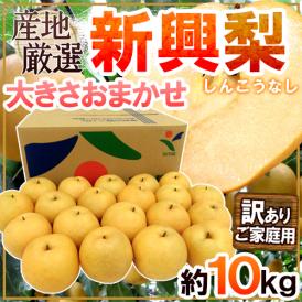 ”新興梨” 訳あり 約10kg 大きさおまかせ 産地厳選【予約 10月下旬以降】 送料無料