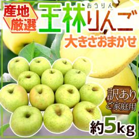 ”王林りんご” 訳あり 約5kg 大きさおまかせ 産地厳選【予約 10月下旬以降】 送料無料