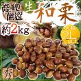 ”国産和栗” 秀品 大粒2Lサイズ以上 約2kg 産地厳選 生栗【予約 9月下旬以降】 送料無料