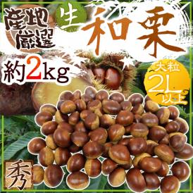 ”国産和栗” 秀品 大粒2Lサイズ以上 約2kg 産地厳選 生栗【予約 9月下旬以降】 送料無料