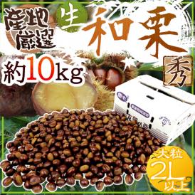 ”国産和栗” 秀品 大粒2Lサイズ以上 約10kg 産地厳選 生栗【予約 9月下旬以降】 送料無料