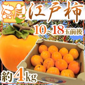 干し柿・吊るし柿用 ”奈良県西吉野 渋柿 江戸柿” 大玉10～18玉前後 約4kg【予約 11月以降】 送料無料