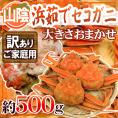 山陰産 ”浜茹でセコガニ” 訳あり 約500g 大きさおまかせ【予約 11月下旬以降】 送料無料