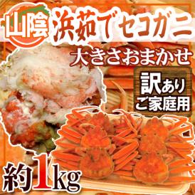 卵である「外子」と「内子」カニミソと身のハーモニー！