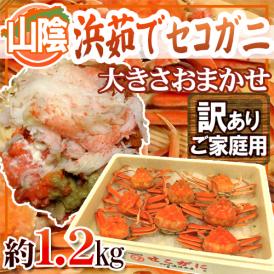 卵である「外子」と「内子」カニミソと身のハーモニー！