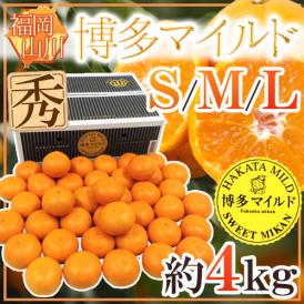 福岡産 山川みかん ”博多マイルド” 秀品 S/M/Lサイズ 約4kg 黒箱【予約 11月中旬以降】 送料無料